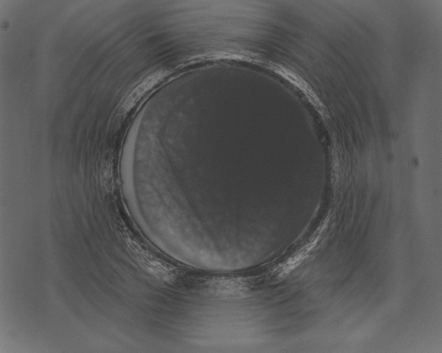 X0000072920977200608181247