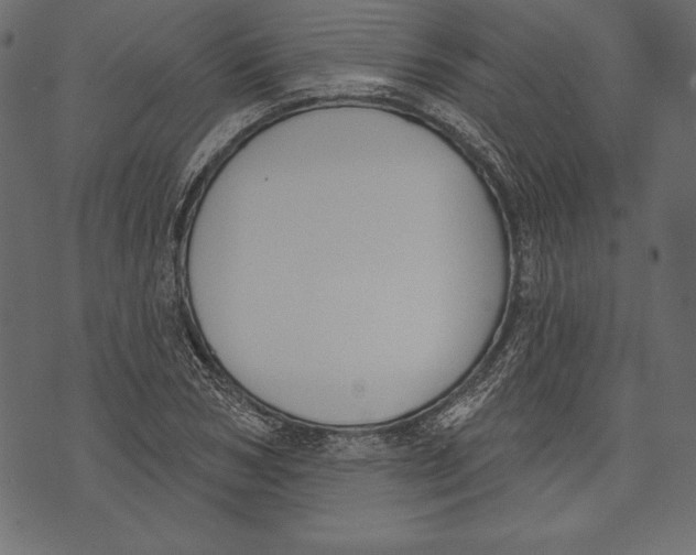 X0000072920978200608181247
