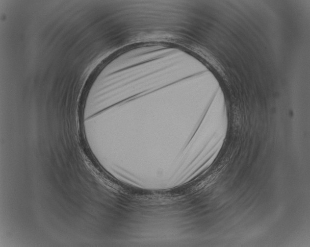X0000072920980200608181246