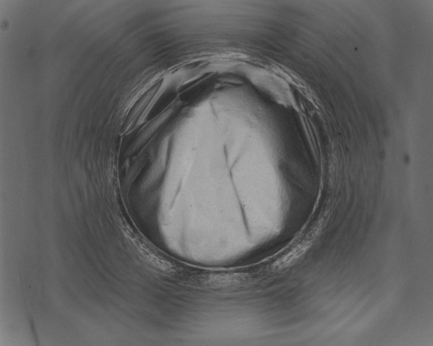 X0000072920985200608181246