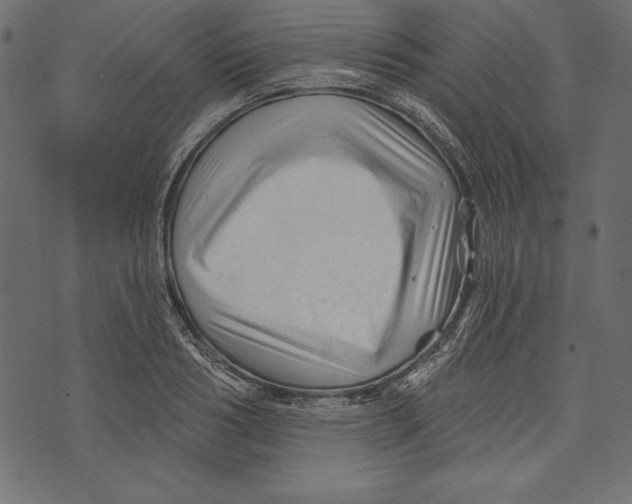 X0000072920986200608181246
