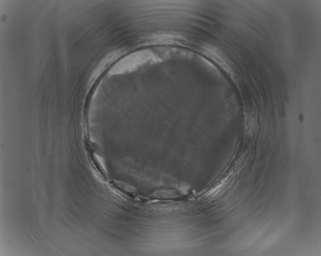 X0000072920994200608181246