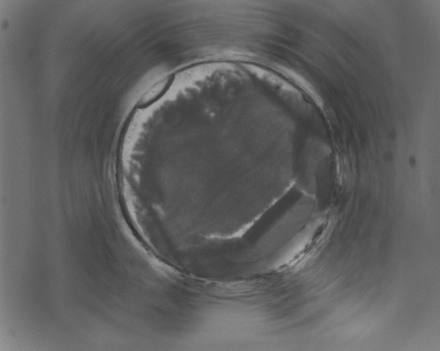 X0000072921007200608181246