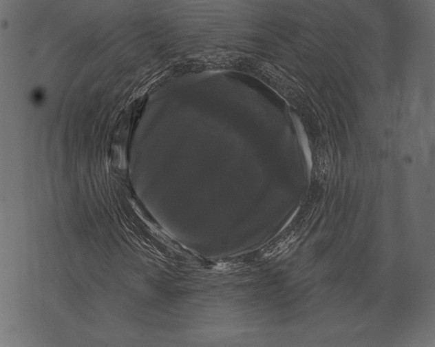X0000072921010200608181245