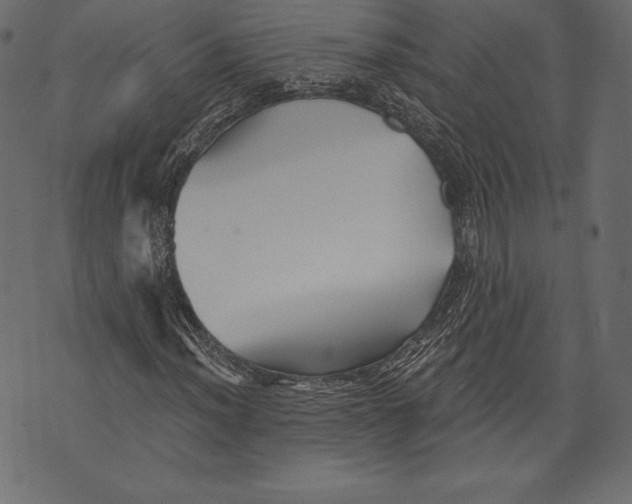 X0000072921012200608181245