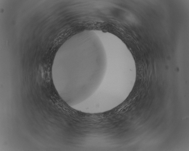X0000072921013200608181245