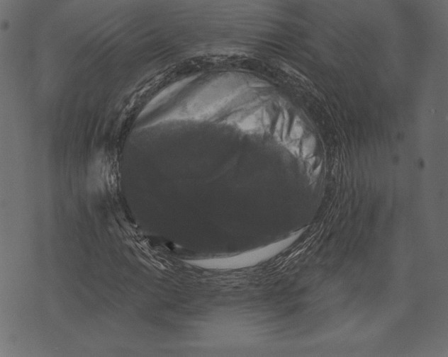 X0000072921014200608181245