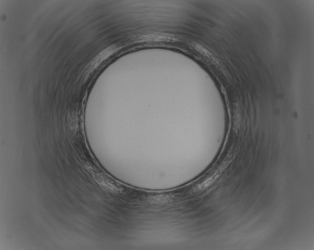 X0000072921017200608181245