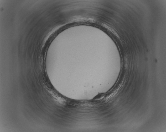 X0000072921021200608181245