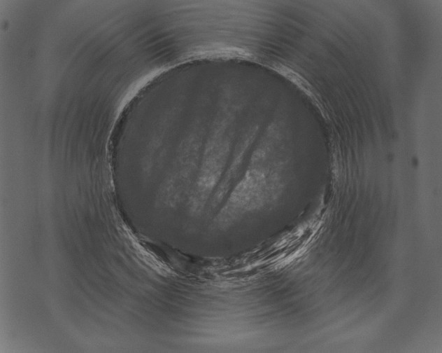 X0000072921022200608181245