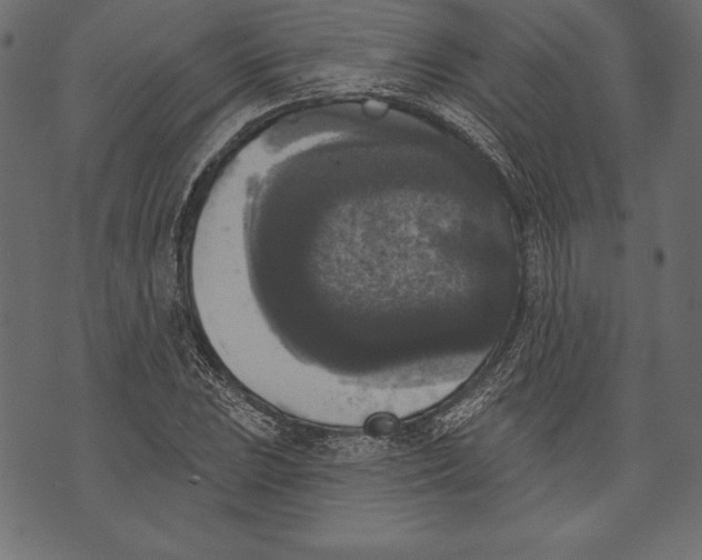 X0000072921023200608181245
