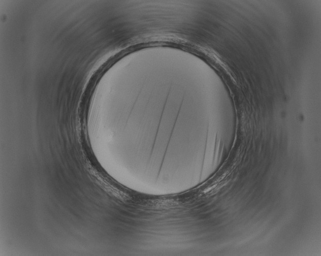 X0000072921024200608181245