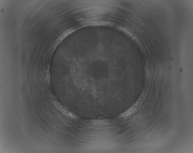 X0000072921025200608181246
