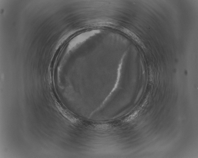 X0000072921031200608181246