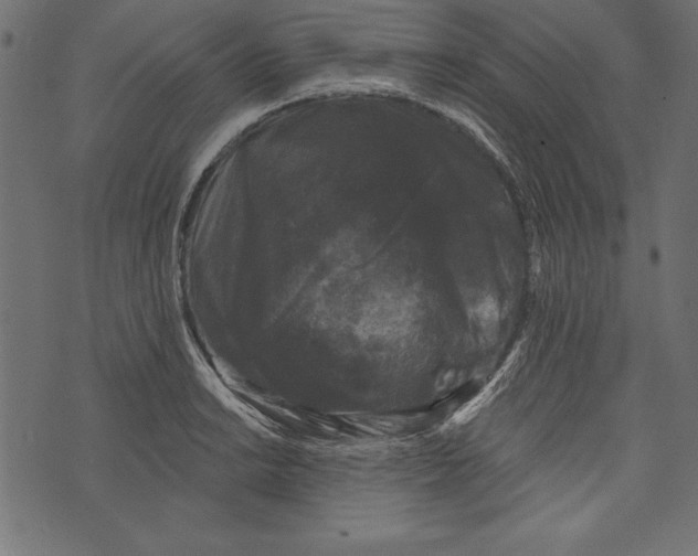 X0000072921038200608181246