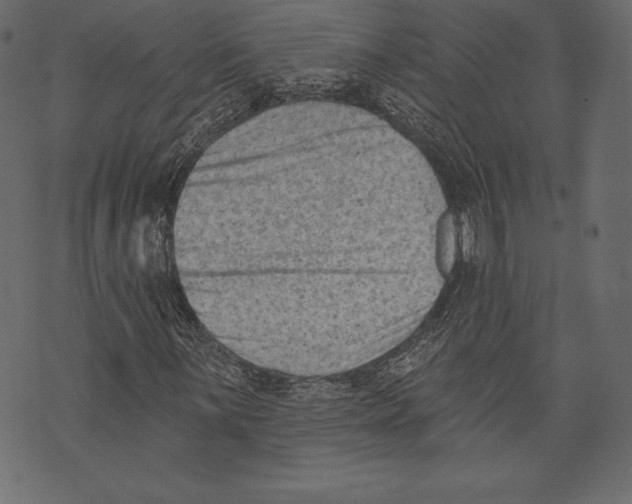 X0000072921059200608181245