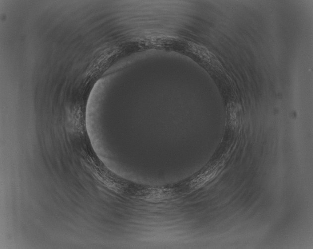 X0000072921060200608181245