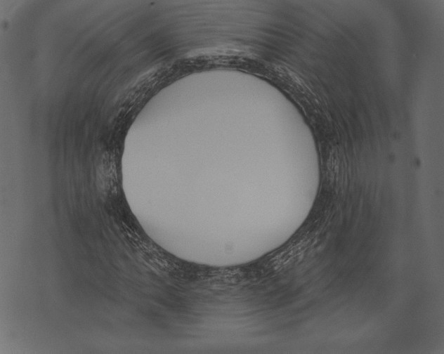 X0000072921062200608181245