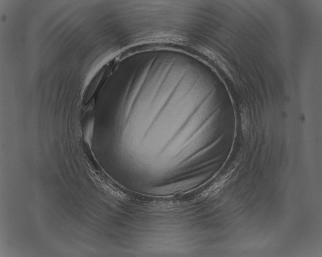 X0000072921069200608181245