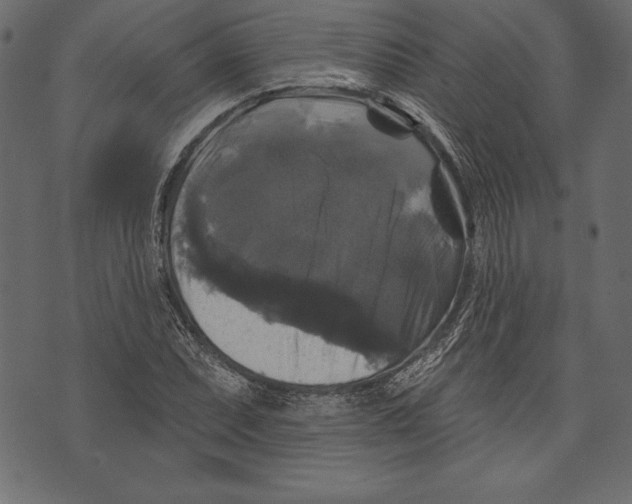 X0000072921071200608181245