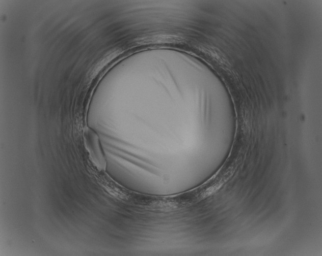 X0000072921073200608181245
