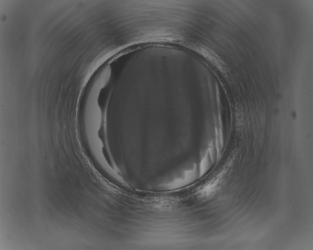 X0000072921077200608181245