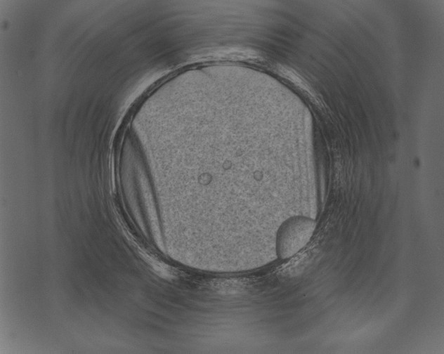 X0000072921079200608181245