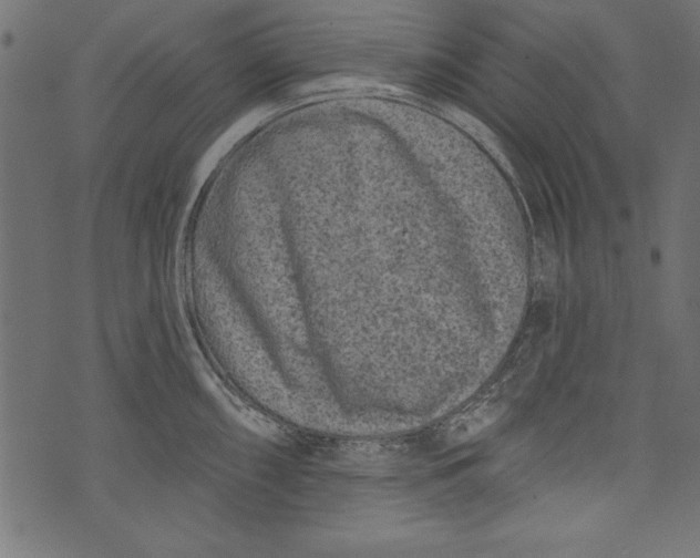X0000072921098200608181245