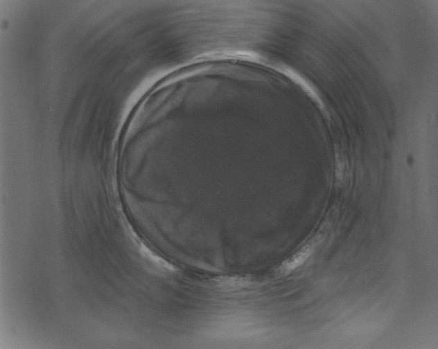 X0000072921102200608181245