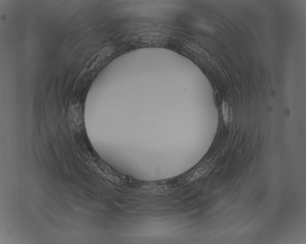 X0000072921107200608181244