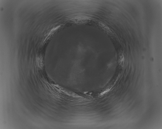 X0000072921108200608181244