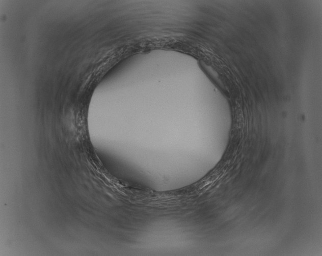 X0000072921109200608181244