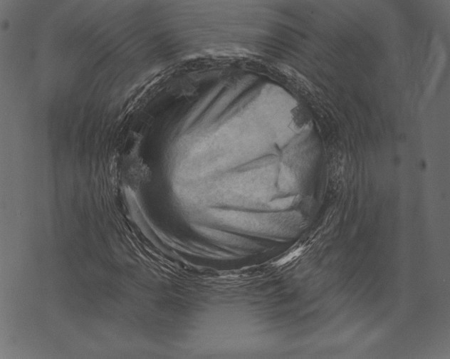 X0000072921110200608181244