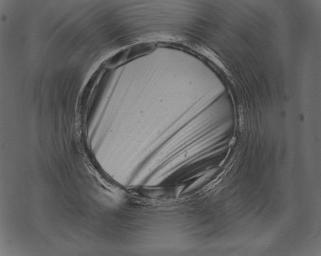 X0000072921116200608181244