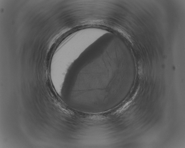 X0000072921117200608181244