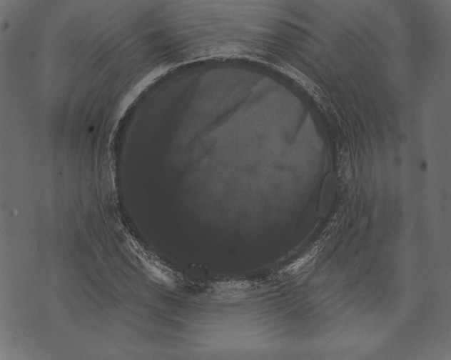 X0000072921118200608181244