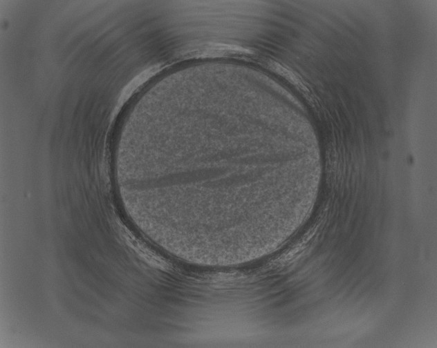 X0000072921122200608181244
