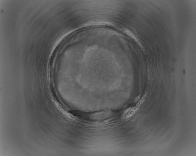 X0000072921124200608181244
