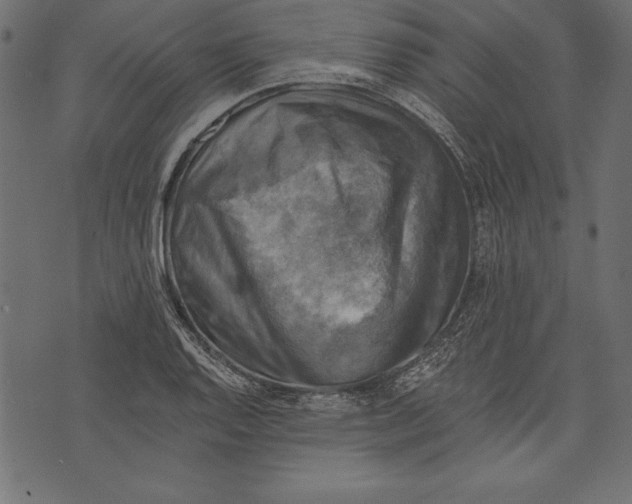 X0000072921128200608181244