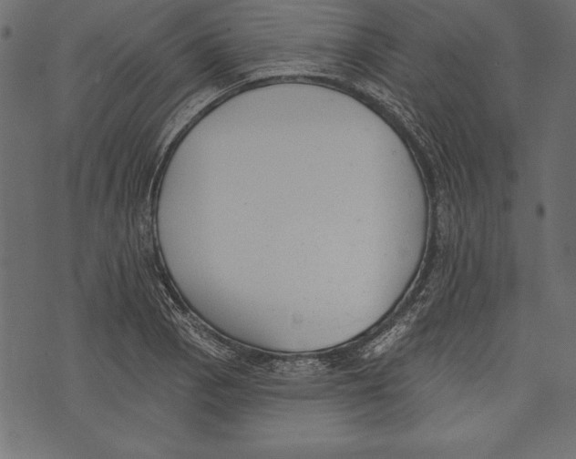 X0000072921129200608181244