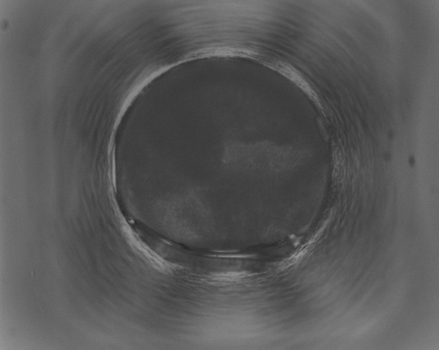 X0000072921132200608181244