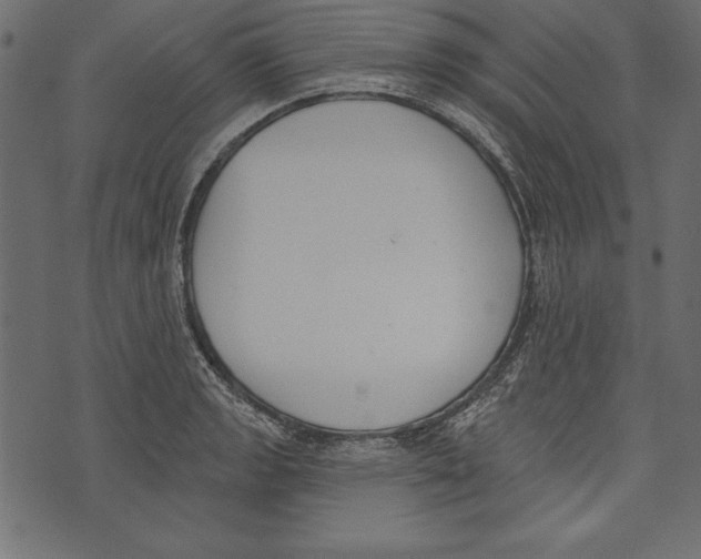 X0000072921133200608181244