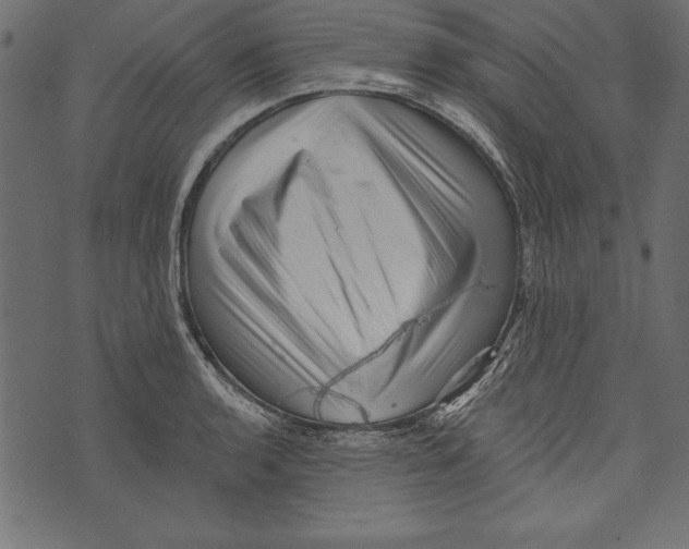 X0000072921136200608181244
