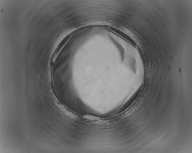 X0000072921140200608181244