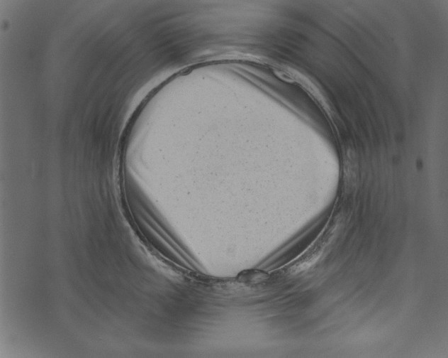 X0000072921149200608181244