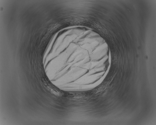 X0000072921153200608181244