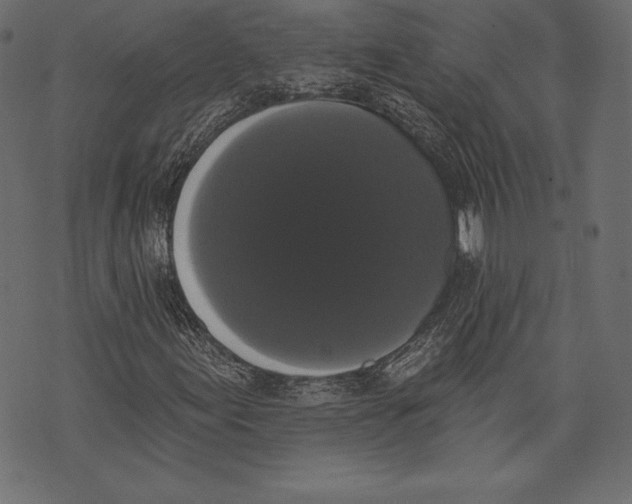 X0000072921155200608181244