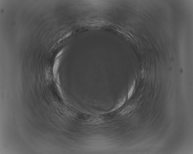 X0000072921156200608181244