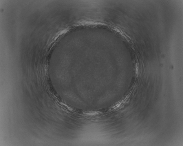 X0000072921157200608181244