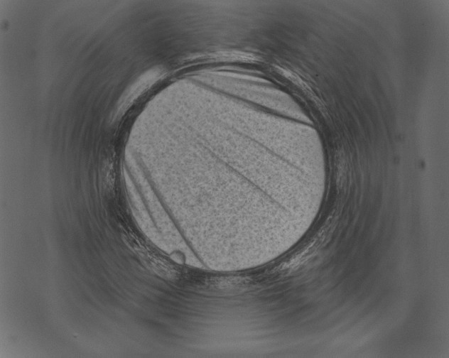 X0000072921163200608181244